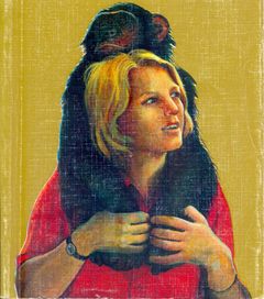 Брюер Стелла