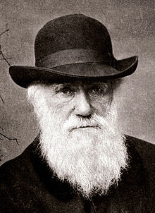 Дарвин Ч.