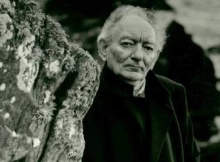 Фрил Брайен