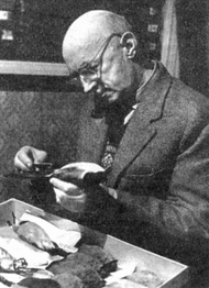 Спангенберг Евгений Павлович