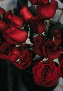 1000 чувств к тебе или я ни когда тебя не забуду