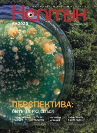 Журнал «Нептун» 2020 №6 [litres]