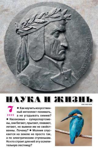 Журнал «Наука и жизнь» 2025 № 07 [litres]
