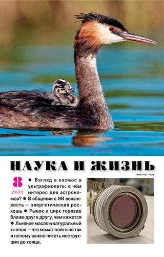 Журнал «Наука и жизнь» 2025 № 08 [litres]