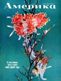 Америка 1958 №04 (19)