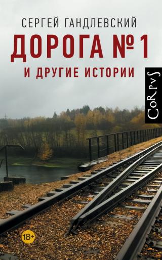 Дорога №1 и другие истории [litres]