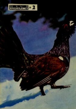 Юный натуралист 1971 №02