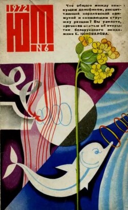 Юный техник 1972 №06