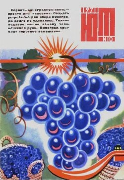 Юный техник 1971 №10