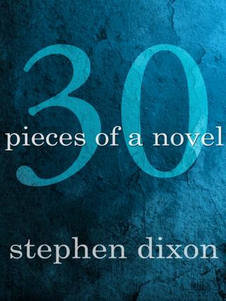 30 Pieces of a Novel