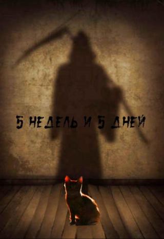 5 недель и 5 дней