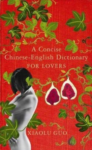 A Concise Chinese English Dictionary for Lovers