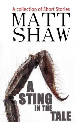 A Sting in the Tale: A Collection of Short Stories