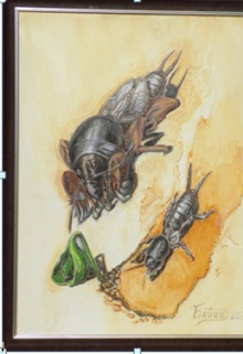 Адское местечко