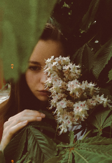 Академия магических исскуств Пьерфон и ведьмочка