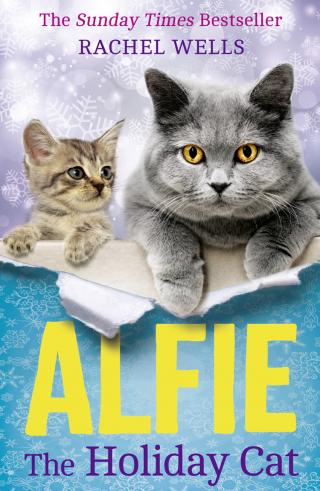 Alfie the Holiday Cat