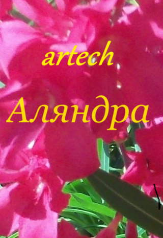 Аляндра