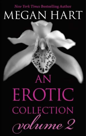 An Erotic Collection Volume 2