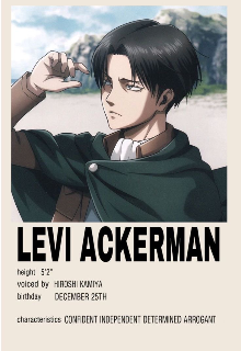 Attack On Titan | Y/n & Levi.