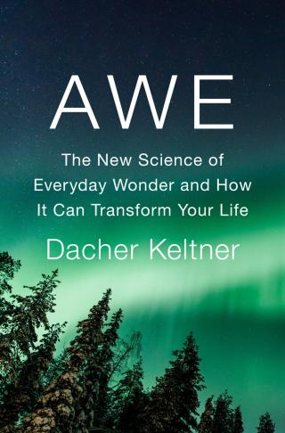 Awe [The New Science of Everyday Wonder and How It Can Transform Your Life]