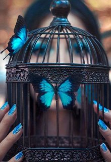 Бабочка взаперти