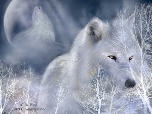 Белая волчица (СИ)