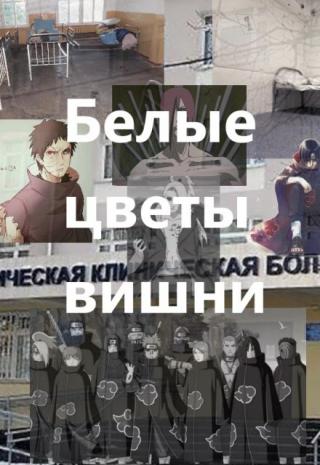 Белые цветы вишни