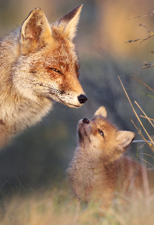 Беременна в 16