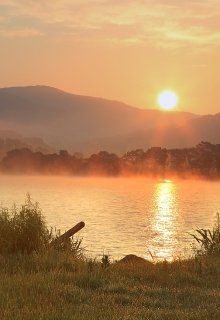 Бессмысленные мечты