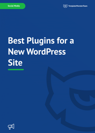 Best Plugins for a New WordPress Site