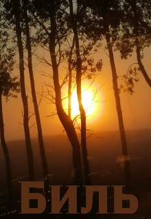 Биль