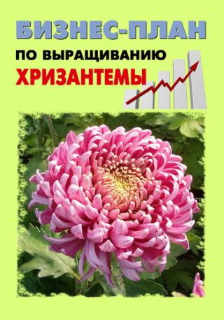 Бизнес-план по выращиванию хризантемы