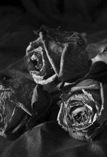 Ближе К Земле