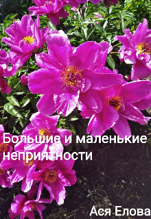 Большие и маленькие неприятности