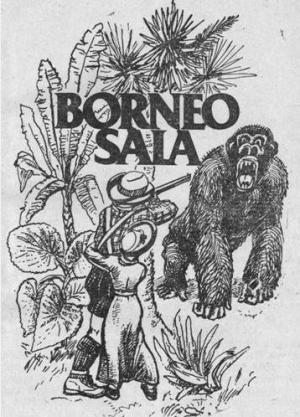 Borneo sala