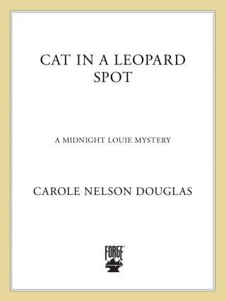 Cat In A Leopard Spot