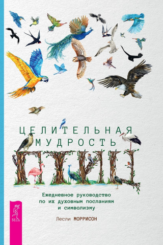 Целительная мудрость птиц. Ежедневное руководство по их духовным посланиям и символизму