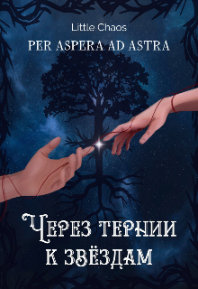 Через тернии к звёздам