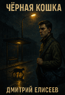 Черная кошка