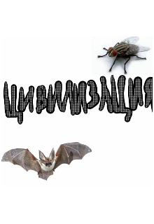 Цивилизация