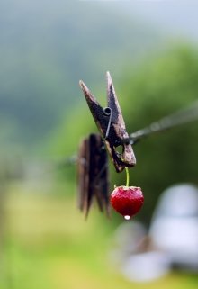 Даем – минимум, используем – максимум