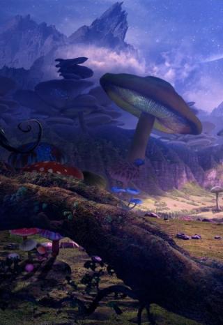 Дагальтера: естественная история мистической планеты