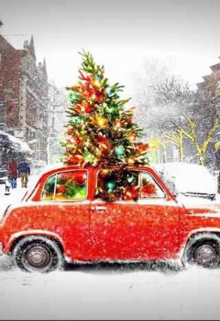 Дети ждут ёлок!