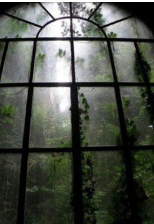 Дежавю судеб