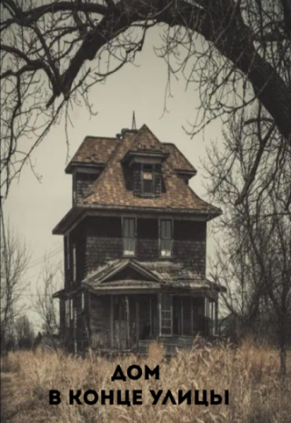 Дом в конце улицы