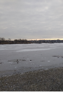 Донор и прочие.