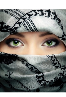 Донор на одну ночь