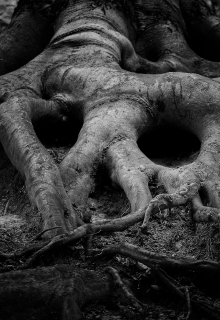 Древнее поселение