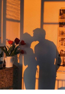 Дружба,  ставшая любовью