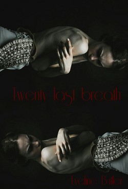 Двадцать последних вдохов